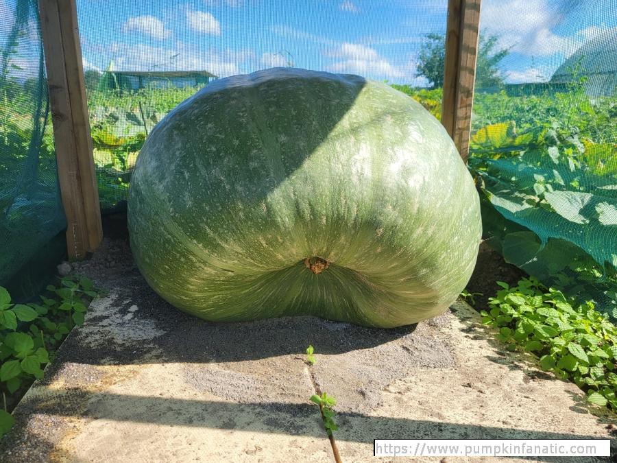 597 Leuenberger 2025